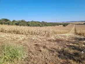 Fazenda Zona Rural, Caiapônia - GO — foto 1