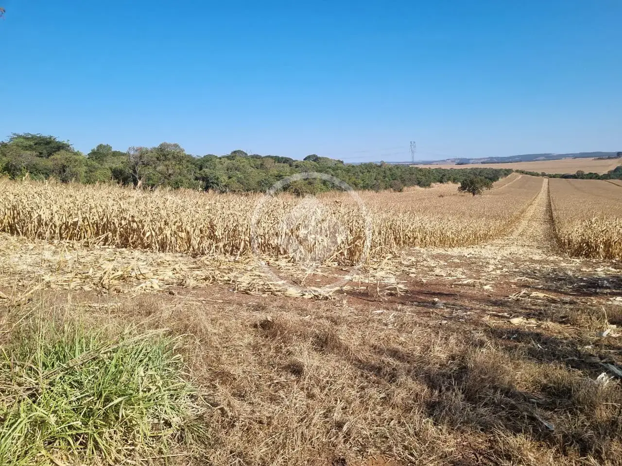Imagem 1 - Fazenda em Zona Rural, Caiapônia - GO