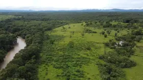 Fazenda Zona Rural, Arraias - TO — foto 1