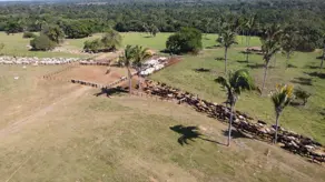 Imagem 2 - Fazenda em Zona Rural, São Félix do Araguaia - MT