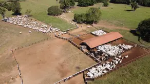 Fazenda Zona Rural, São Félix do Araguaia - MT — foto 2