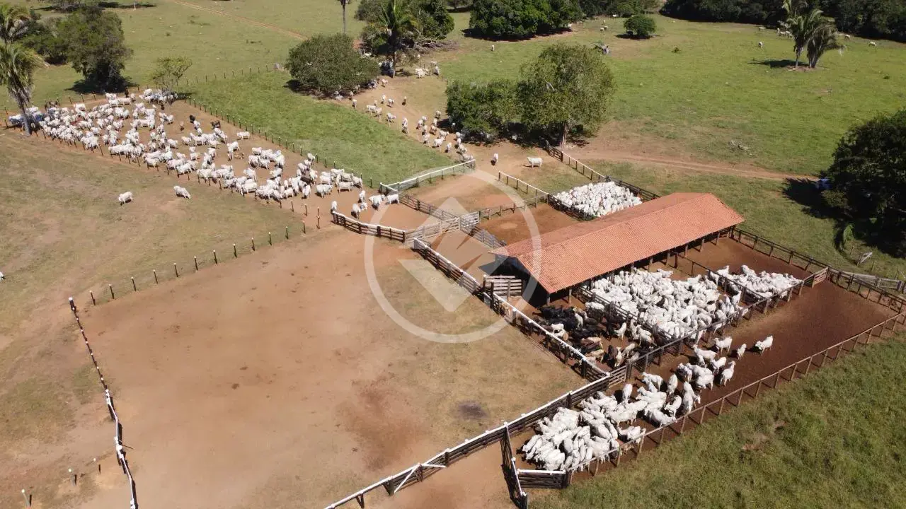 Image 2 - Fazenda em Zona Rural, São Félix do Araguaia - MT
