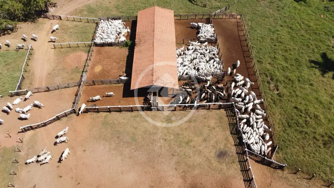 Imagem 1 - Fazenda em Zona Rural, São Félix do Araguaia - MT