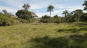 Imagem 4 - Chácara em Aréa Rural Aragoiânia, Aragoiânia - GO