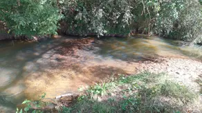 Imagem 2 - Chácara em Aréa Rural Aragoiânia, Aragoiânia - GO