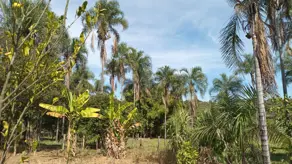 Imagem 5 - Chácara em Aréa Rural Aragoiânia, Aragoiânia - GO