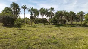Imagem 6 - Chácara em Aréa Rural Aragoiânia, Aragoiânia - GO