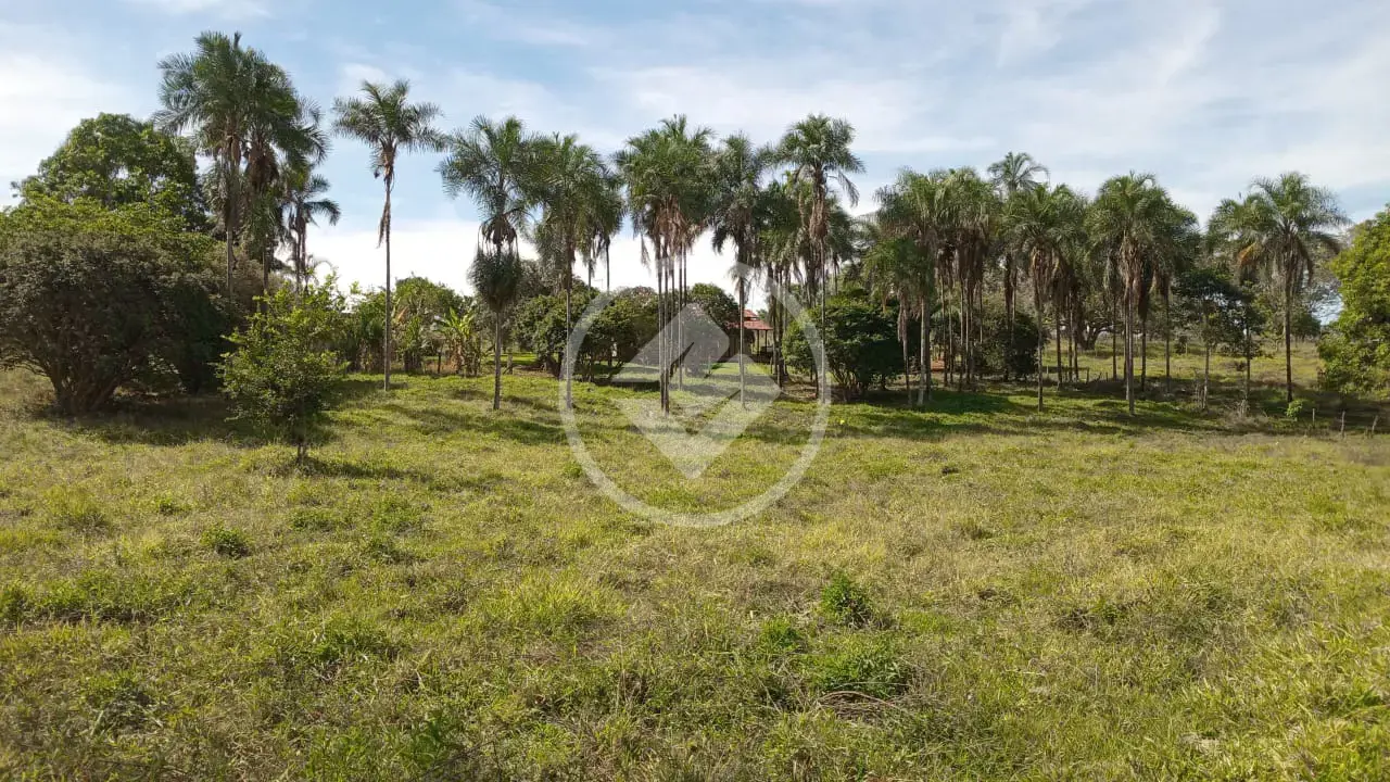 Imagem 6 - Chácara em Aréa Rural Aragoiânia, Aragoiânia - GO