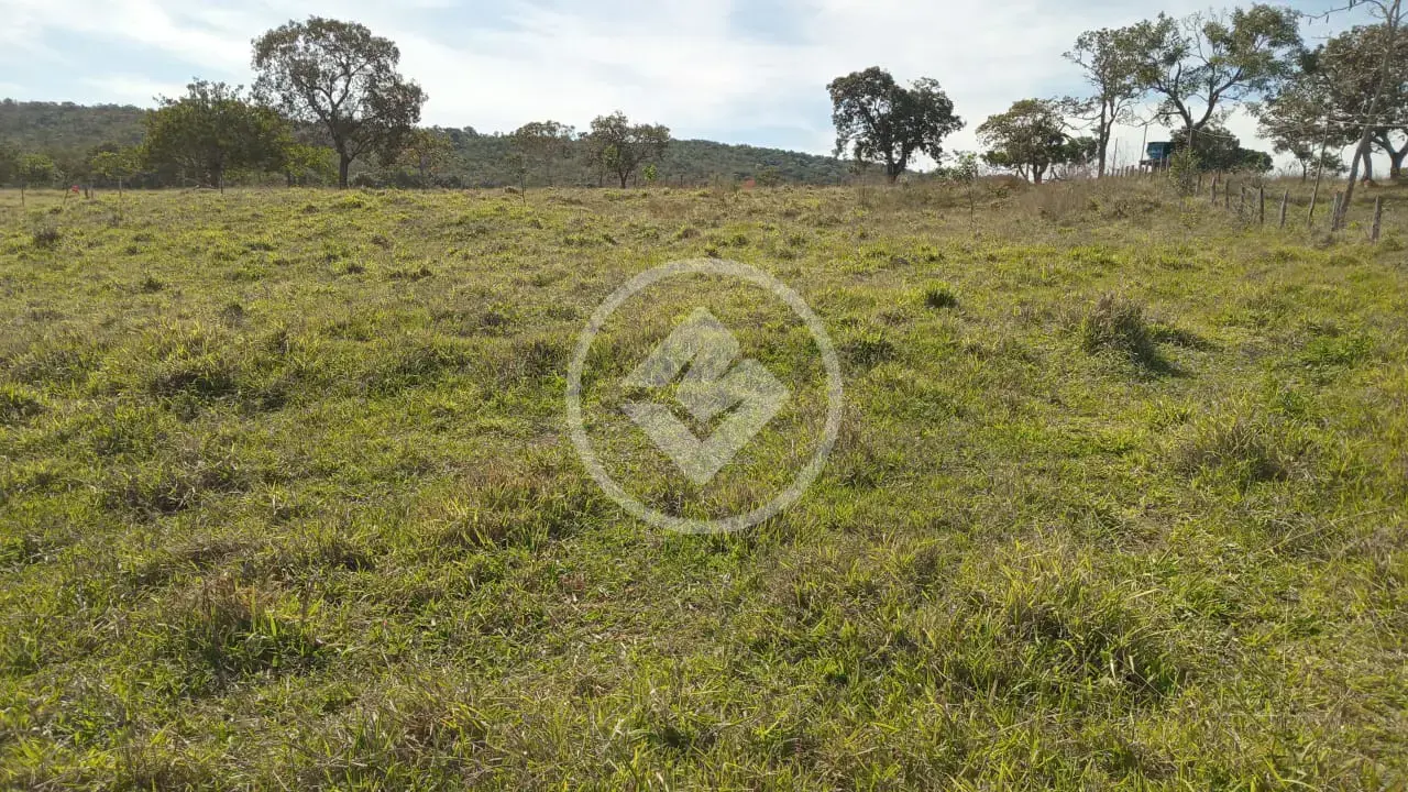 Image 8 - Chácara em Aréa Rural Aragoiânia, Aragoiânia - GO