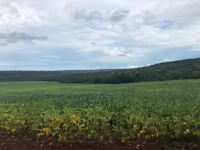 Imagem 3 - Fazenda em Área Rural de Mineiros, Mineiros - GO