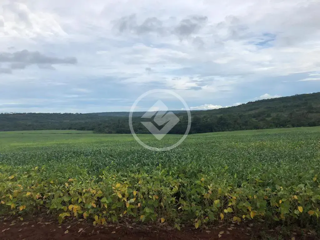 Image 4 - Fazenda em Área Rural de Mineiros, Mineiros - GO