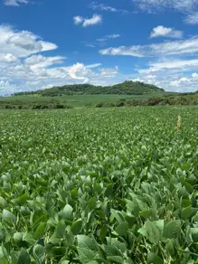 Fazenda Área Rural de Mineiros, Mineiros - GO — foto 1