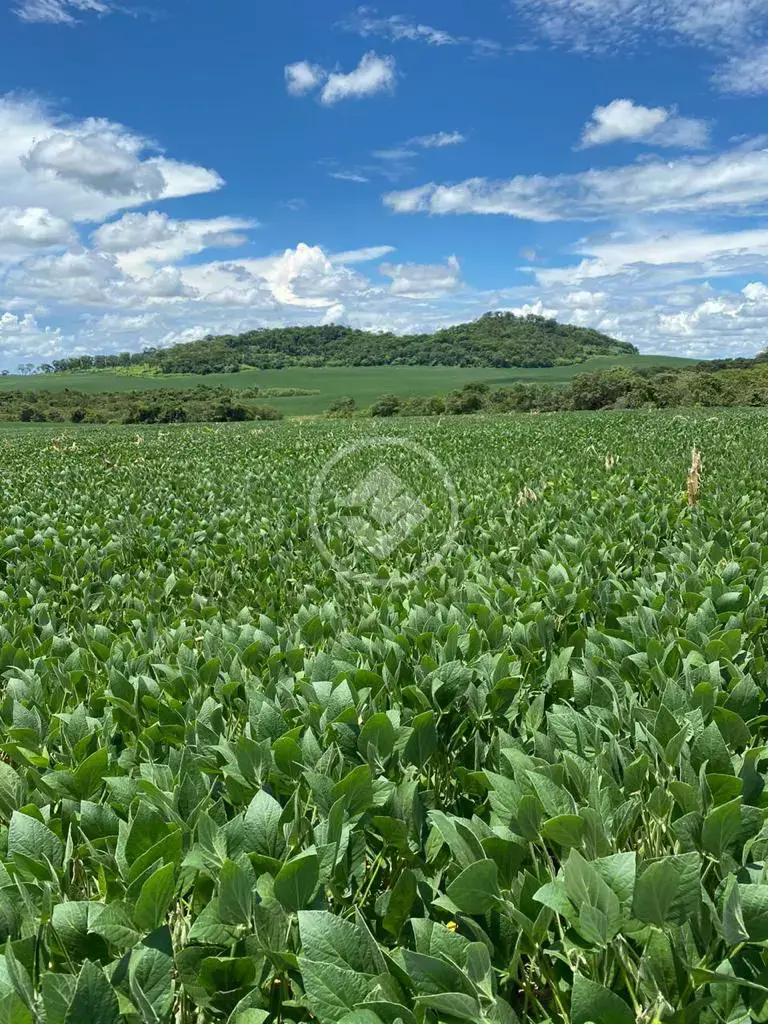 Imagem 1 - Fazenda em Área Rural de Mineiros, Mineiros - GO