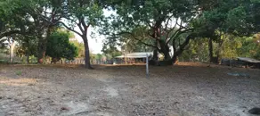 Imagem 2 - Fazenda em Zona Rural, Luciara - MT