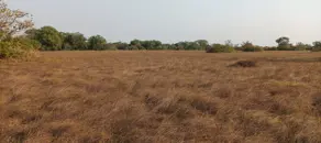 Imagem 5 - Fazenda em Zona Rural, Luciara - MT