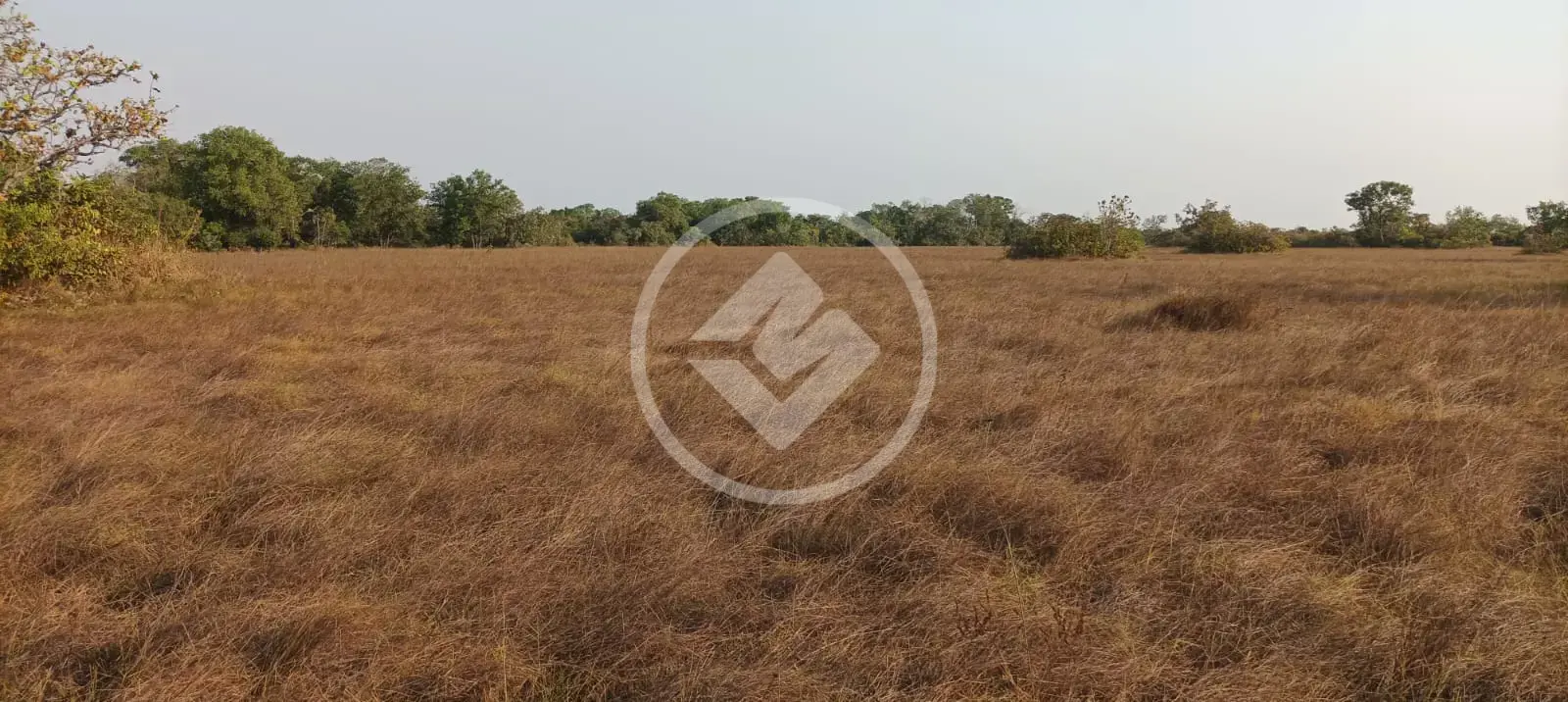 Image 6 - Fazenda em Zona Rural, Luciara - MT