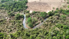 Imagem 2 - Fazenda em Região bom sucesso, Hidrolândia - GO