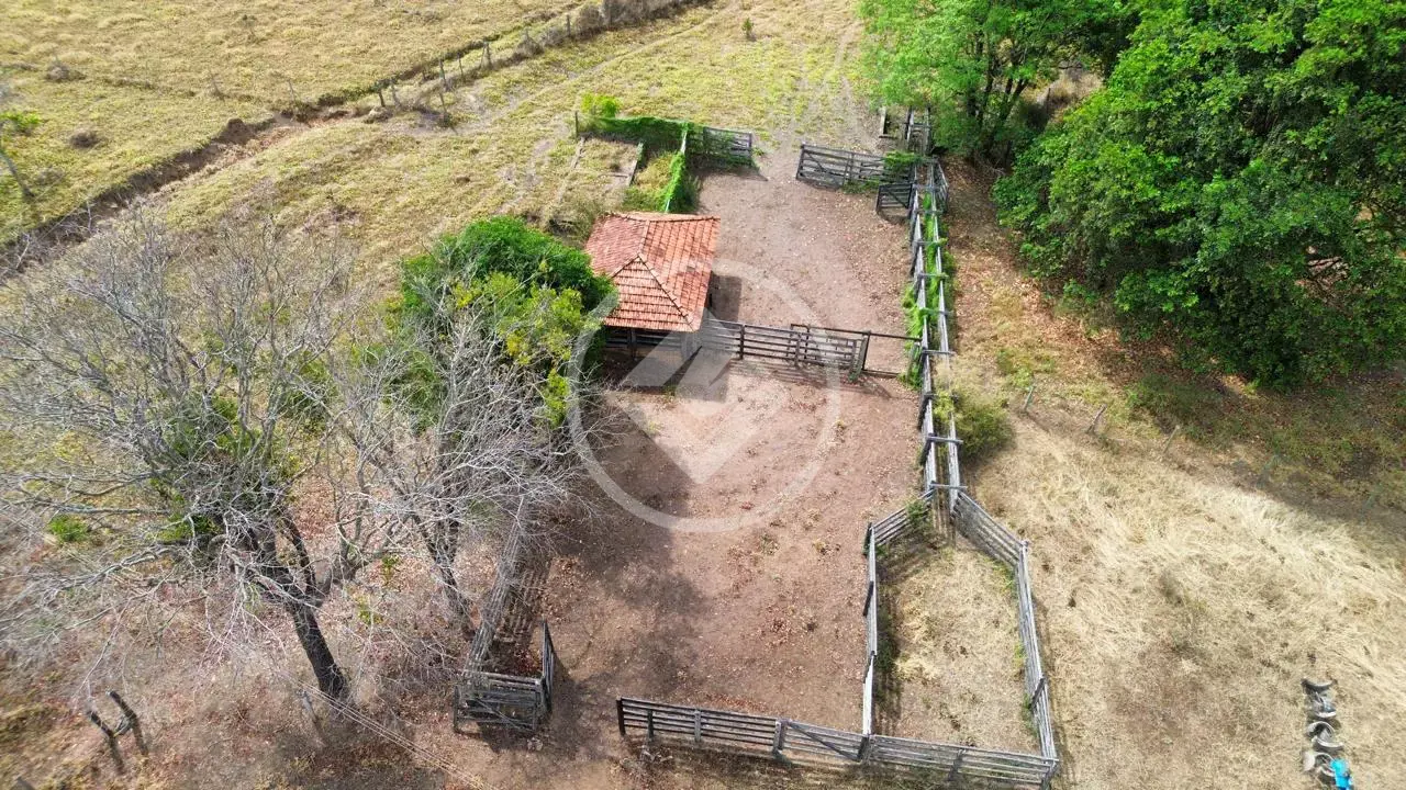 Imagem 4 - Fazenda em Região bom sucesso, Hidrolândia - GO