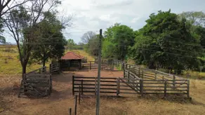 Imagem 5 - Fazenda em Região bom sucesso, Hidrolândia - GO