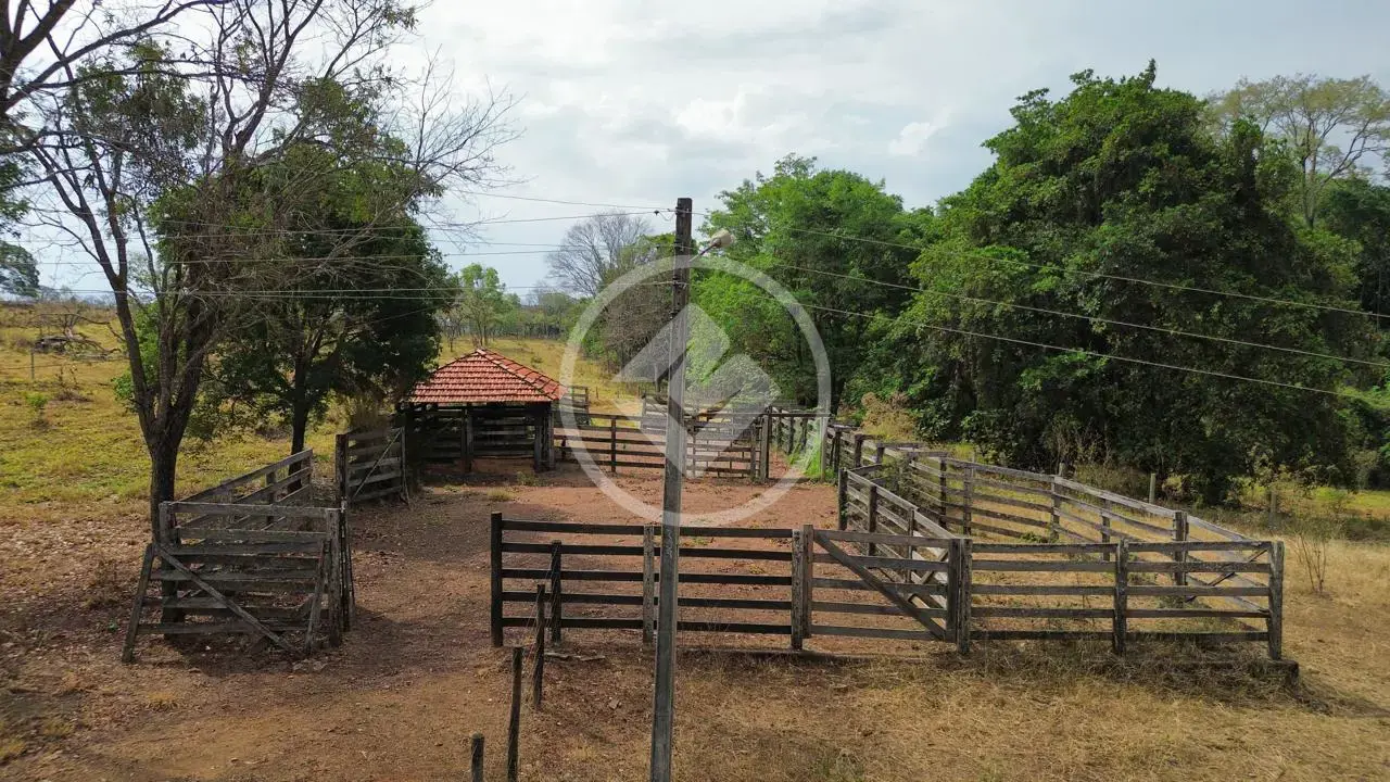Imagem 5 - Fazenda em Região bom sucesso, Hidrolândia - GO