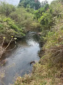 Imagem 3 - Chácara em Aréa Rural Aragoiânia, Aragoiânia - GO