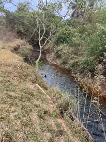 Imagem 2 - Chácara em Aréa Rural Aragoiânia, Aragoiânia - GO