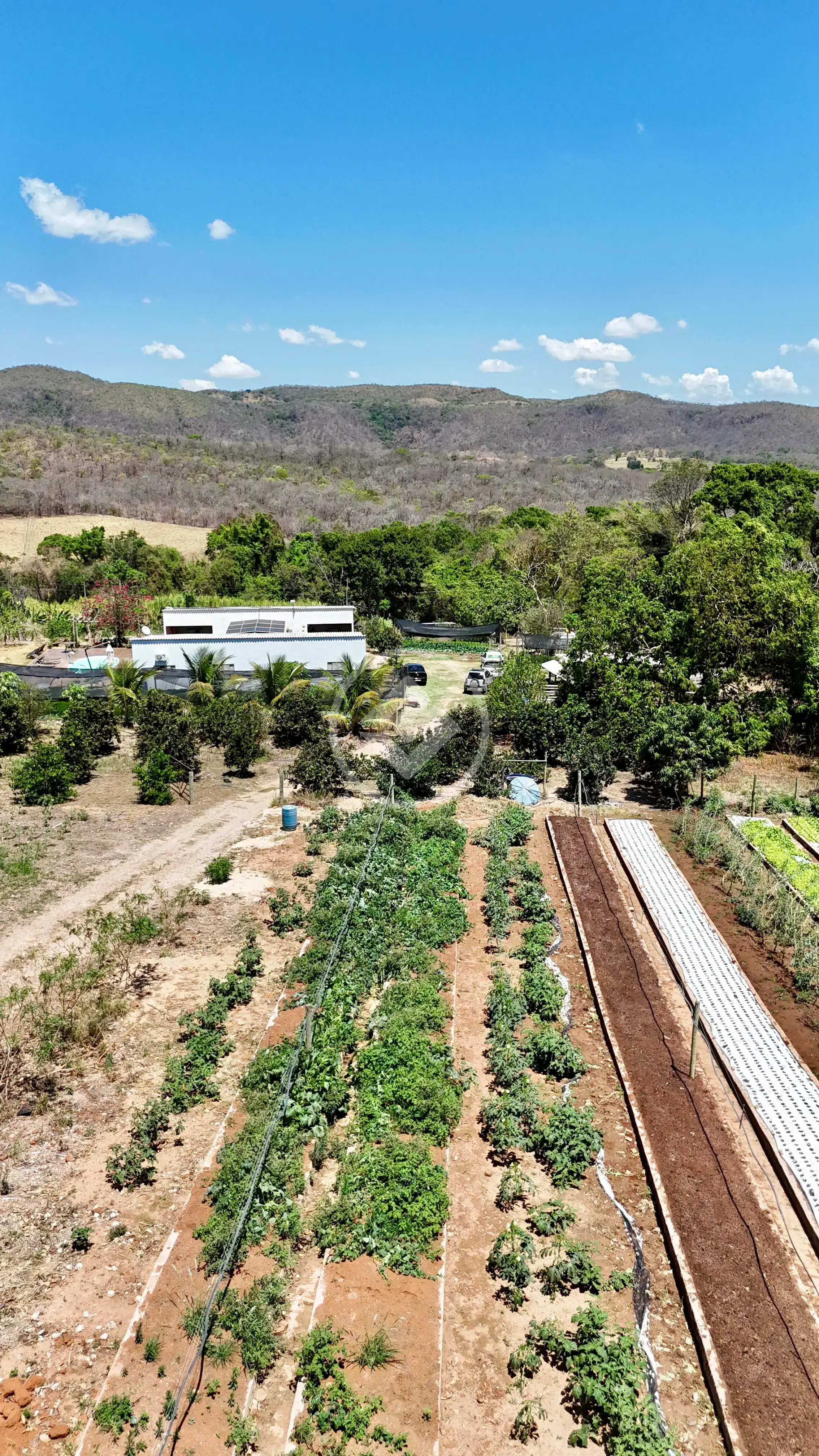Imagem 2 - Chácara em Zona Rural, Cromínia - GO