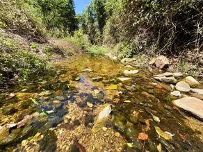 Imagem 6 - Chácara em Zona Rural, Cromínia - GO