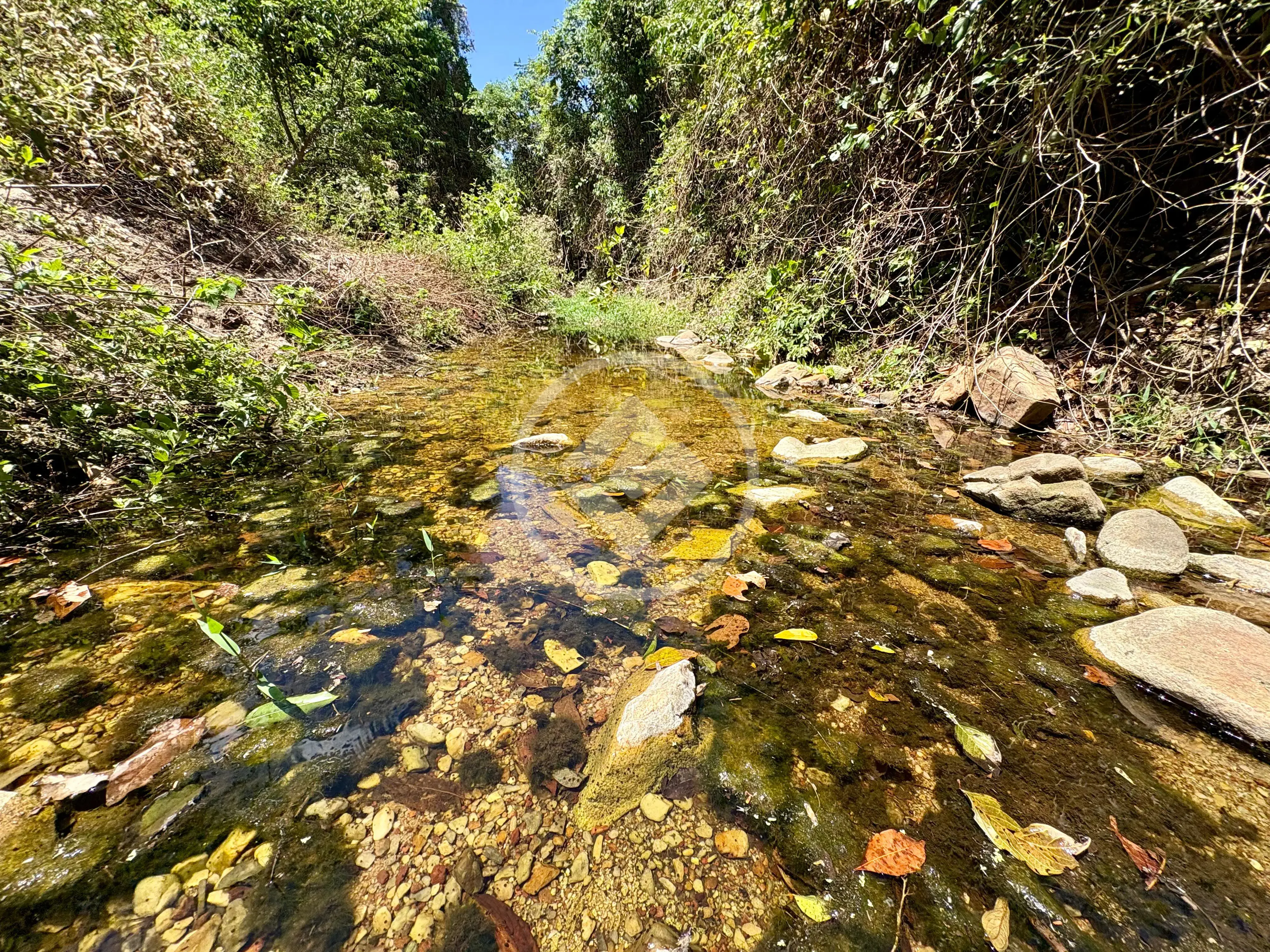 Imagem 6 - Chácara em Zona Rural, Cromínia - GO