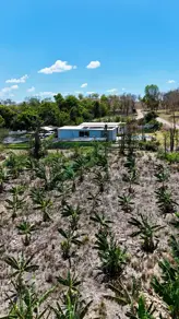 Imagem 3 - Chácara em Zona Rural, Cromínia - GO