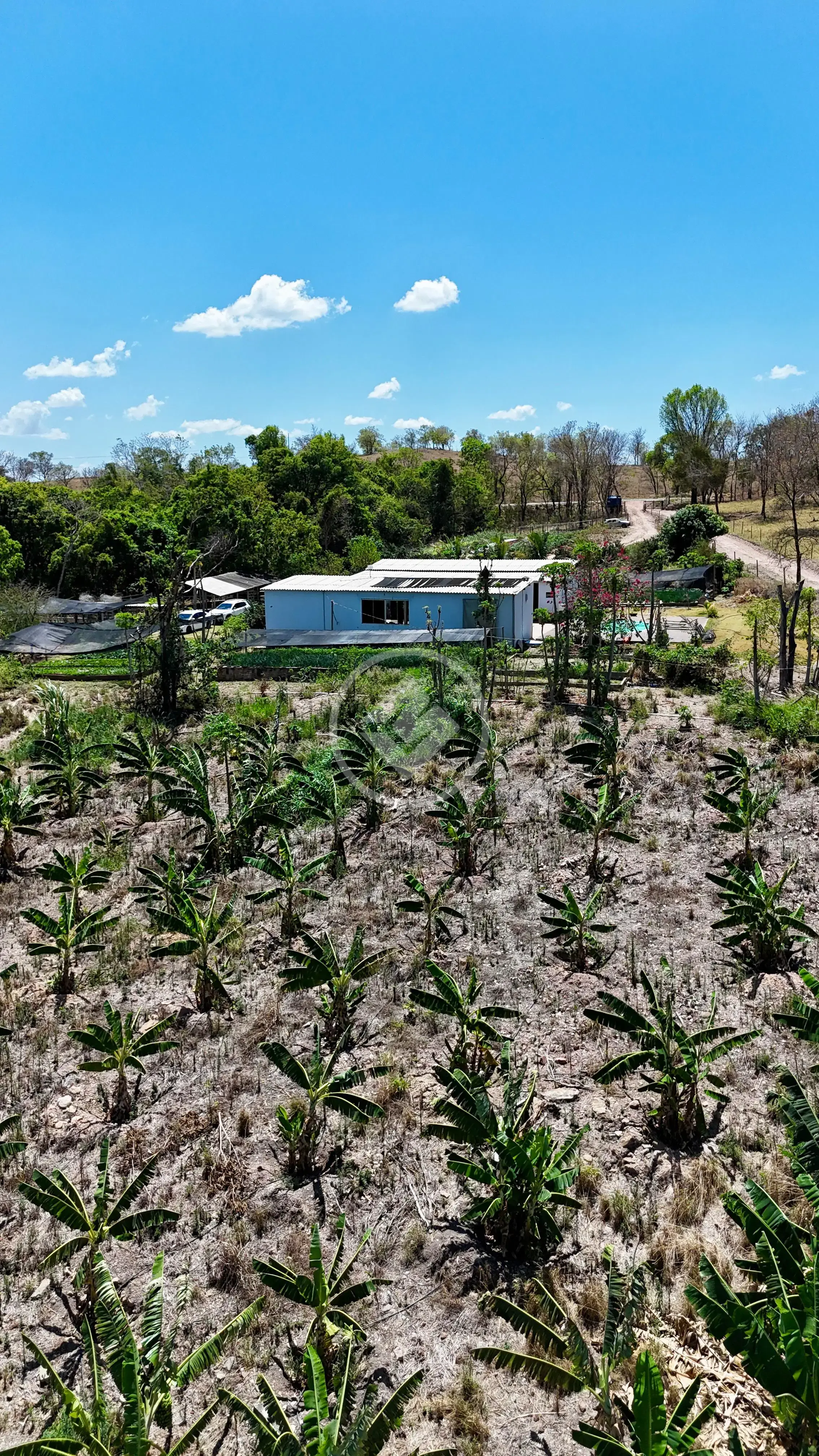 Imagem 3 - Chácara em Zona Rural, Cromínia - GO