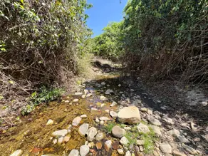 Imagem 4 - Chácara em Zona Rural, Cromínia - GO