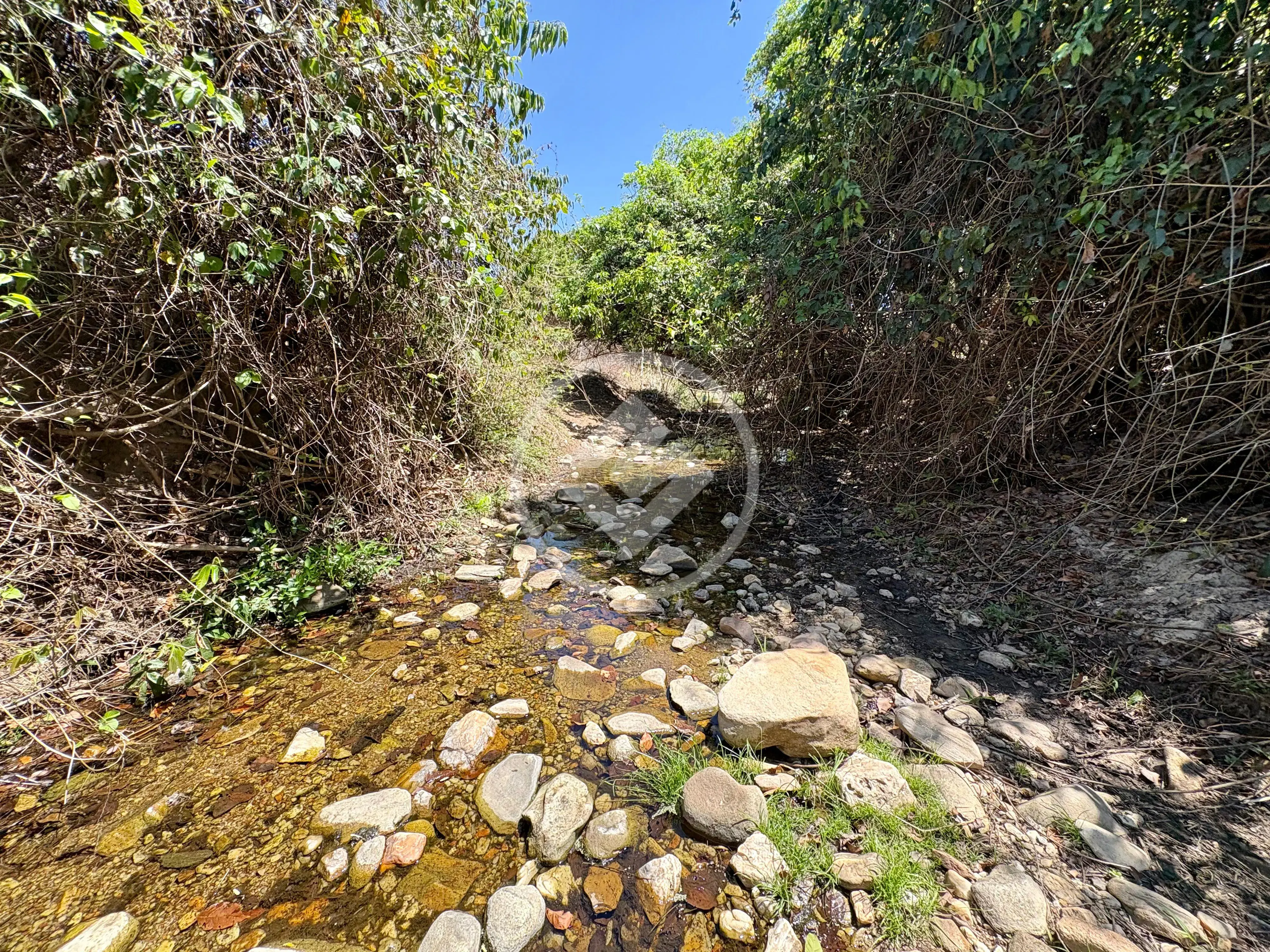 Imagem 4 - Chácara em Zona Rural, Cromínia - GO
