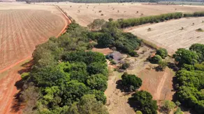 Imagem 5 - Fazenda em Zona Rural Hidrolandia, Hidrolândia - GO