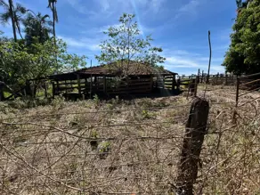Imagem 2 - Fazenda em Zona Rural Hidrolandia, Hidrolândia - GO