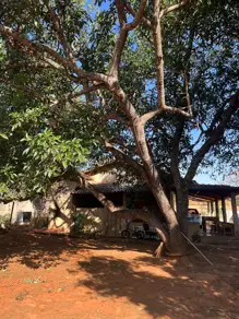 Imagem 5 - Chácara em Mansões Riviera Parque, Hidrolândia - GO