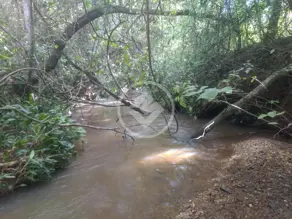 Imagem 5 - Fazenda em Zona Rural Hidrolandia, Hidrolândia - GO
