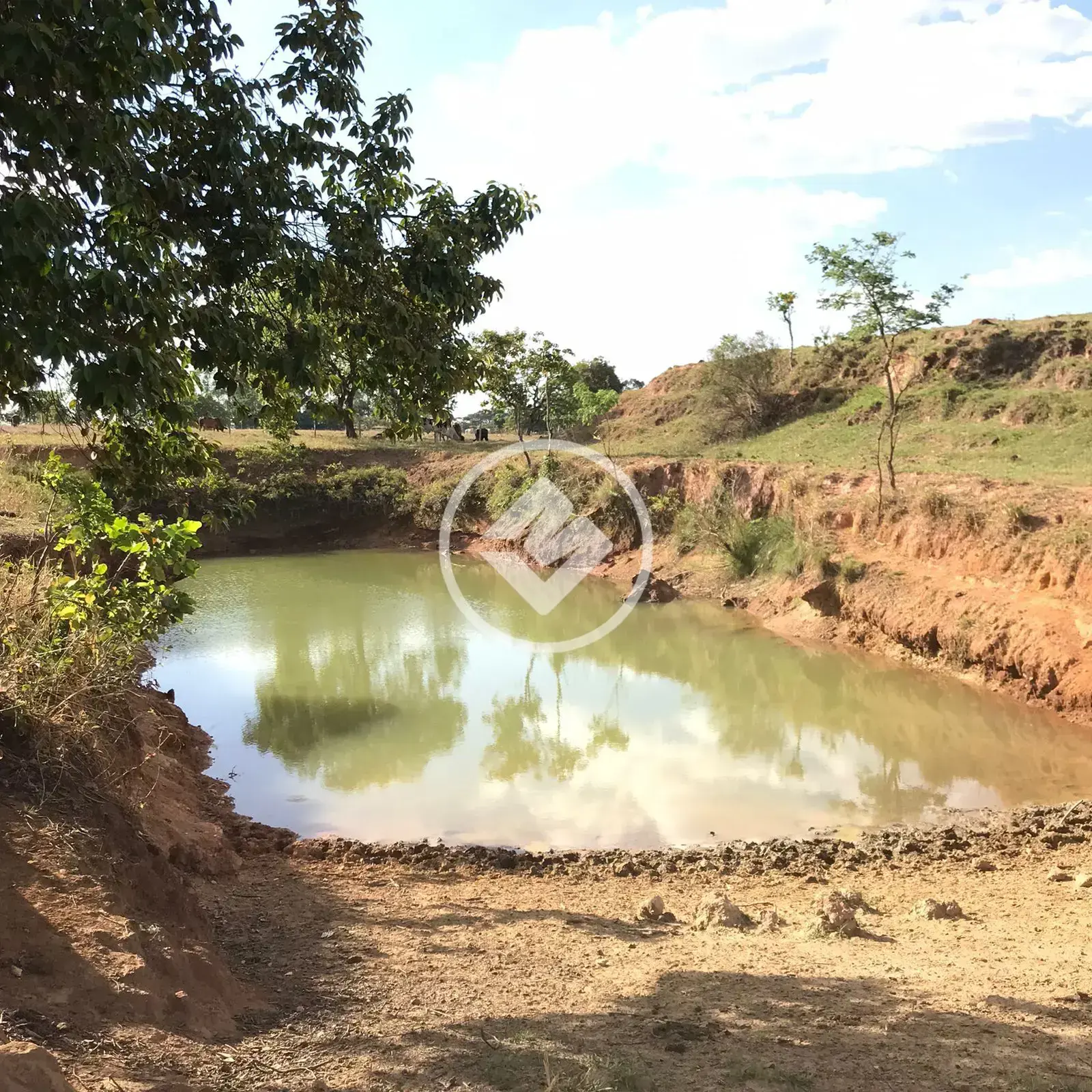 Imagem 4 - Fazenda em Zona Rural Hidrolandia, Hidrolândia - GO