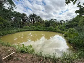 Imagem 6 - Chácara em Zona Rural, Hidrolândia - GO