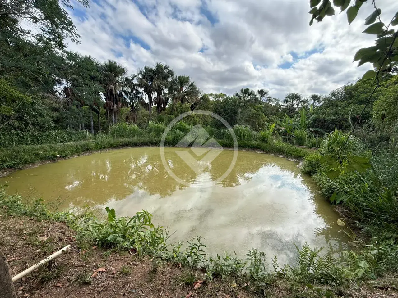 Imagem 6 - Chácara em Zona Rural, Hidrolândia - GO