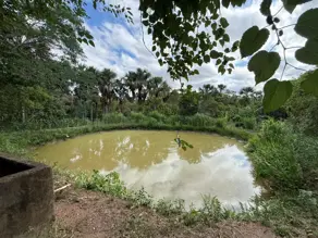 Imagem 5 - Chácara em Zona Rural, Hidrolândia - GO