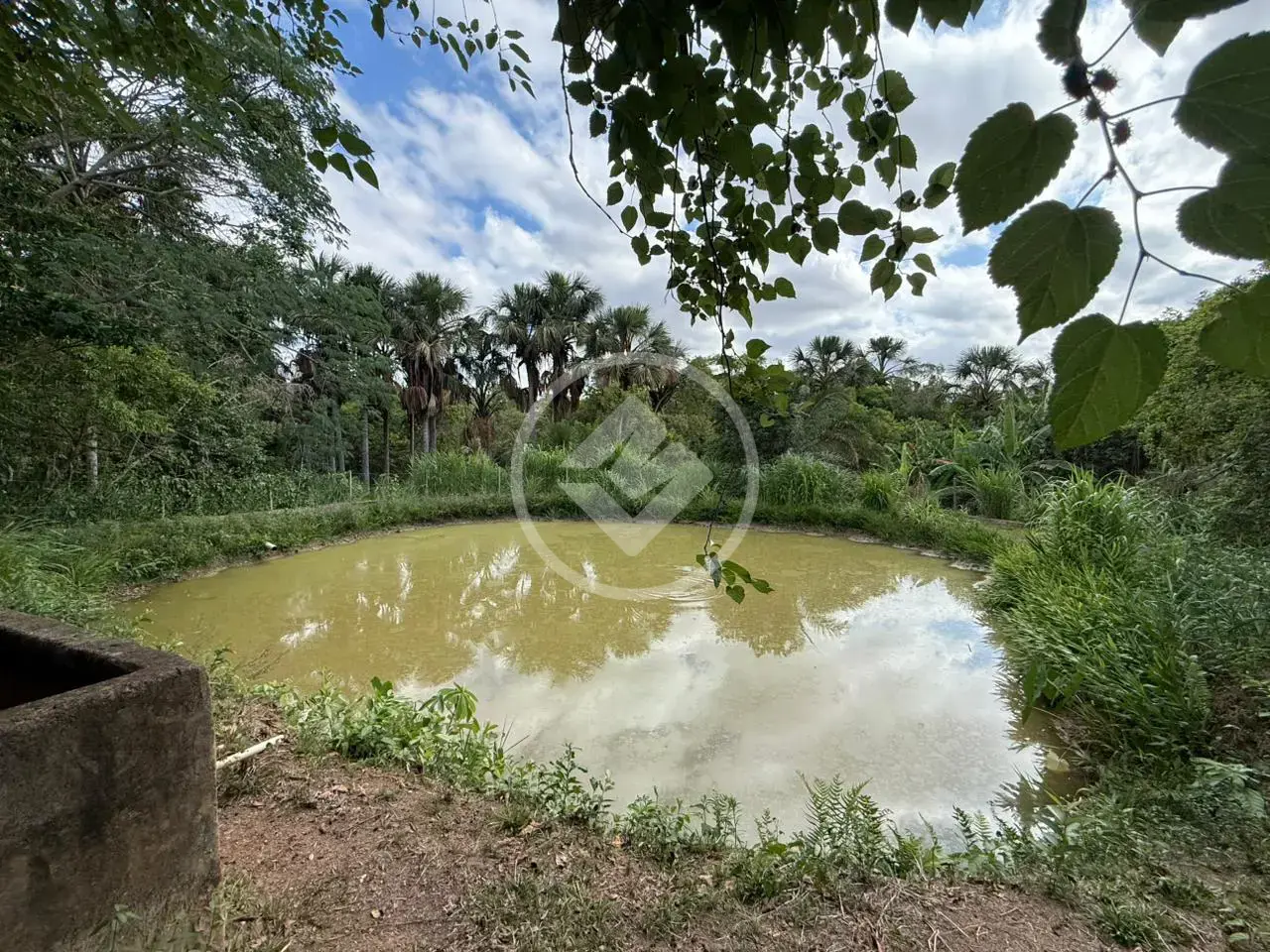 Imagem 5 - Chácara em Zona Rural, Hidrolândia - GO