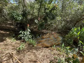 Imagem 4 - Chácara em Zona Rural, Hidrolândia - GO