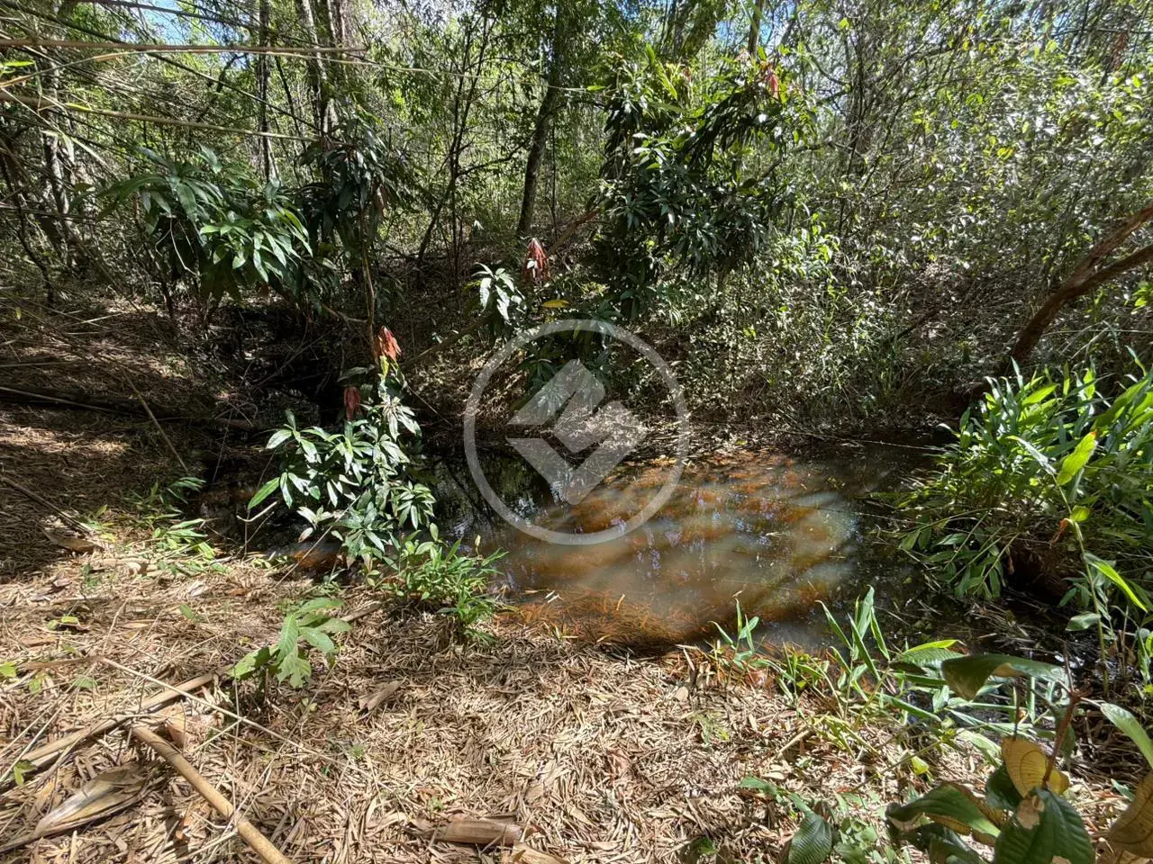 Imagem 4 - Chácara em Zona Rural, Hidrolândia - GO