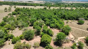 Imagem 3 - Chácara em Zona Rural, Hidrolândia - GO