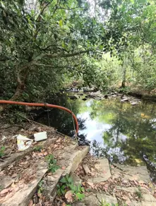 Imagem 4 - Chácara em Zona Rural Hidrolandia, Hidrolândia - GO