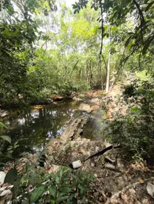 Imagem 5 - Chácara em Zona Rural Hidrolandia, Hidrolândia - GO