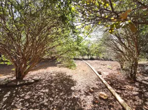 Imagem 3 - Chácara em Vila Grimpas, Hidrolândia - GO