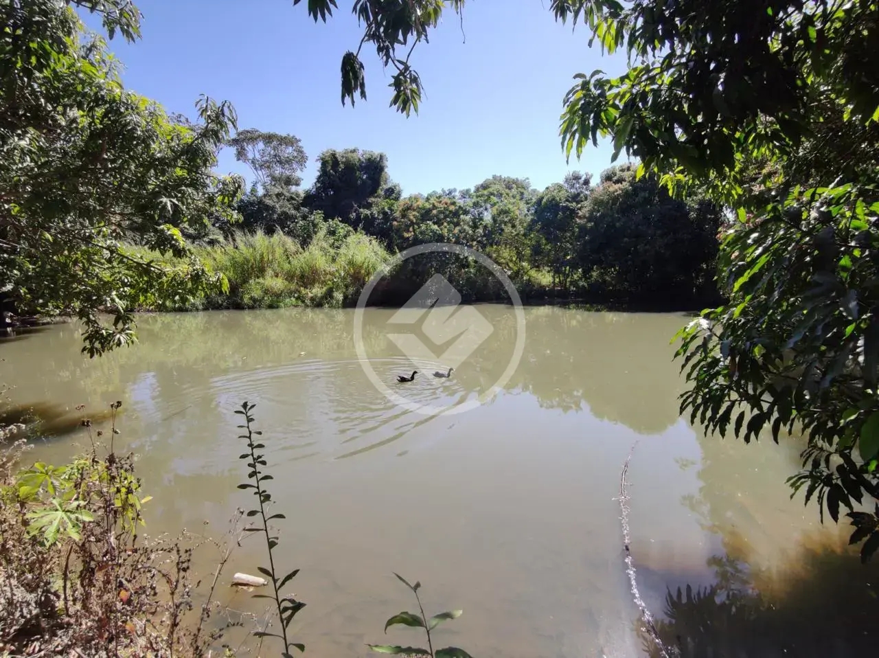 Image 2 - Chácara em Vila Grimpas, Hidrolândia - GO