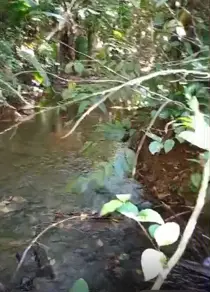 Imagem 3 - Fazenda em Zona Rural, São Félix do Xingu - PA